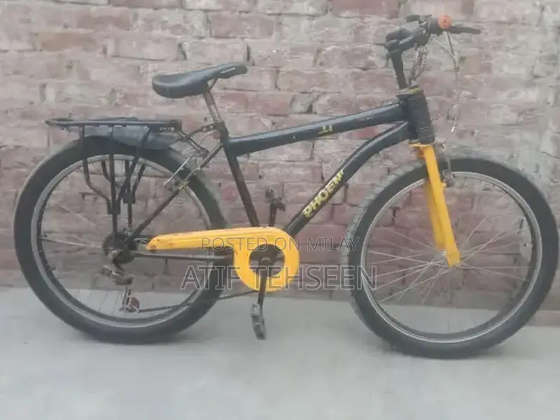 Phoenix Cycle 10/8 Performance Bicycle