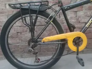 Phoenix Cycle 10/8 Performance Bicycle