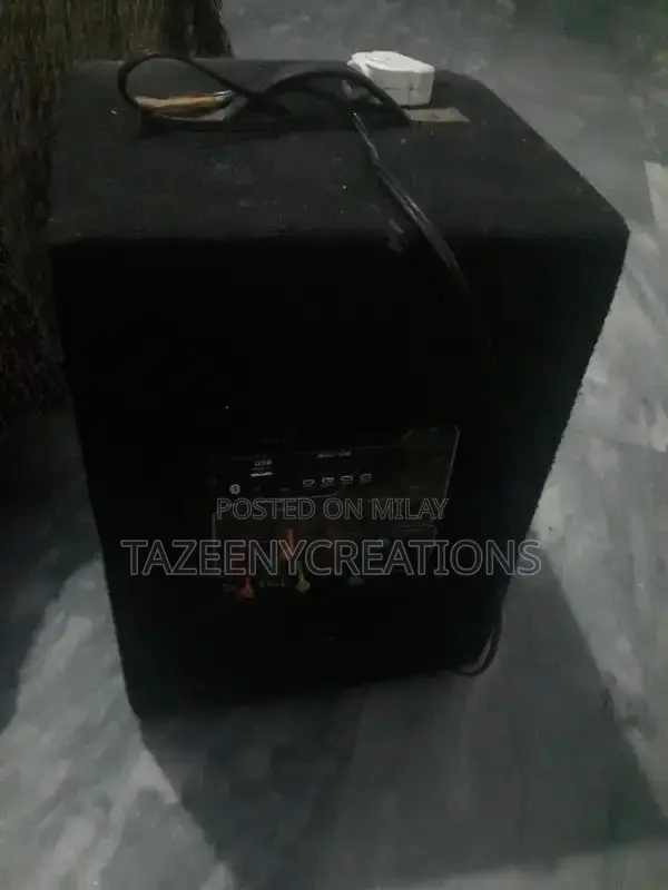 Sony Wireless Speaker with Dual Microphone and Bluetooth