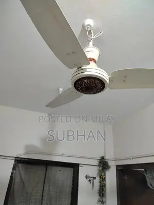 Photo - High-Quality Royal Fan with Premium Design