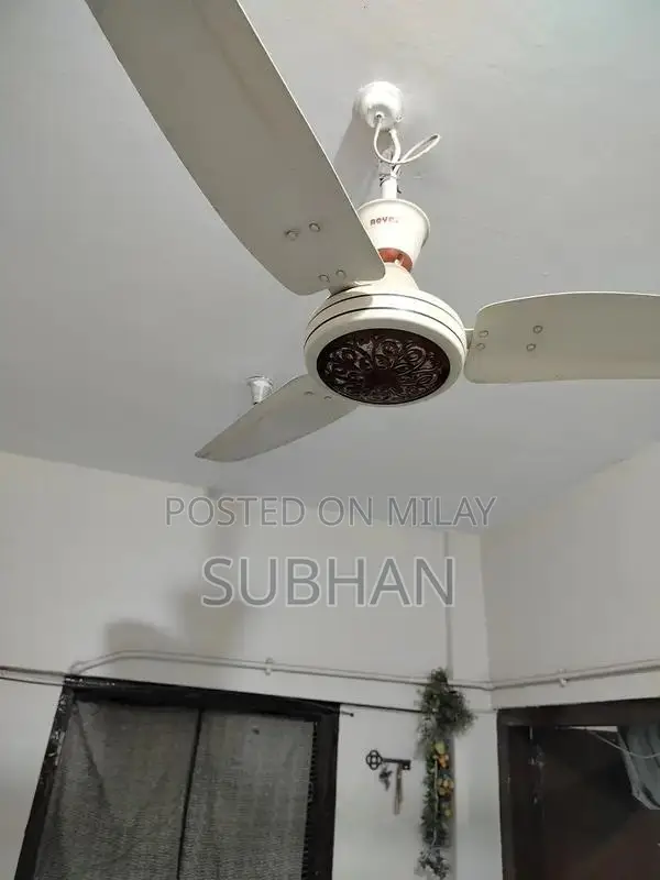 High-Quality Royal Fan with Premium Design