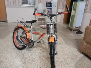Sports Bicycle for Outdoor Play and Recreation