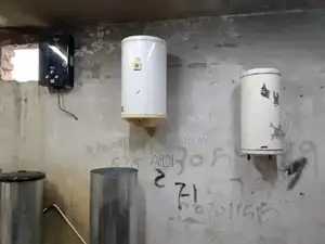 Professional Gas Geyser and Instant Water Heater Repair Service