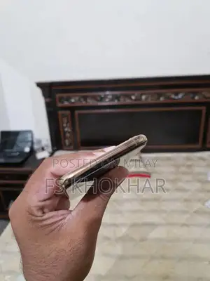 Apple iPhone 11 Pro Max 256GB Premium Smartphone