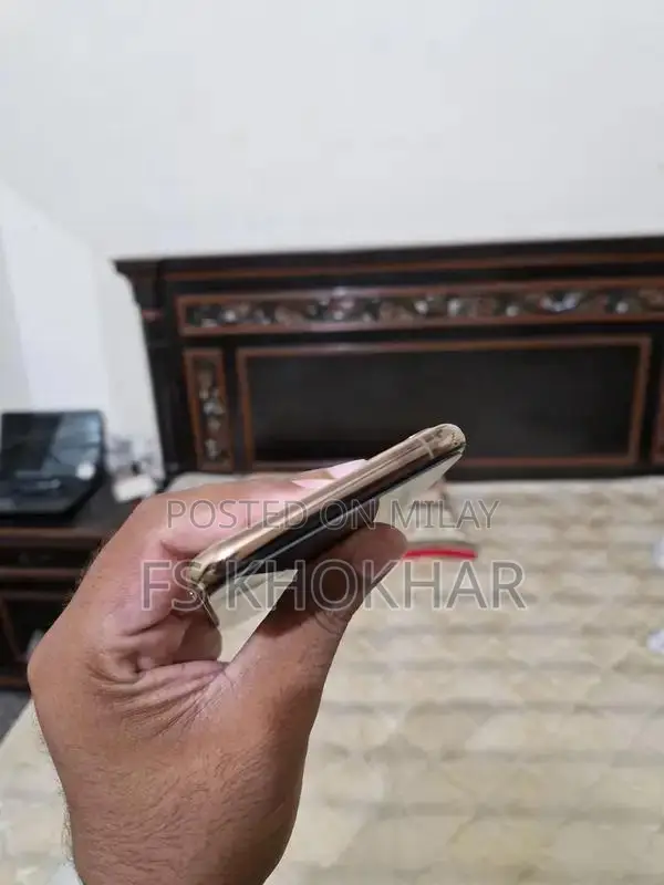 Apple iPhone 11 Pro Max 256GB Premium Smartphone