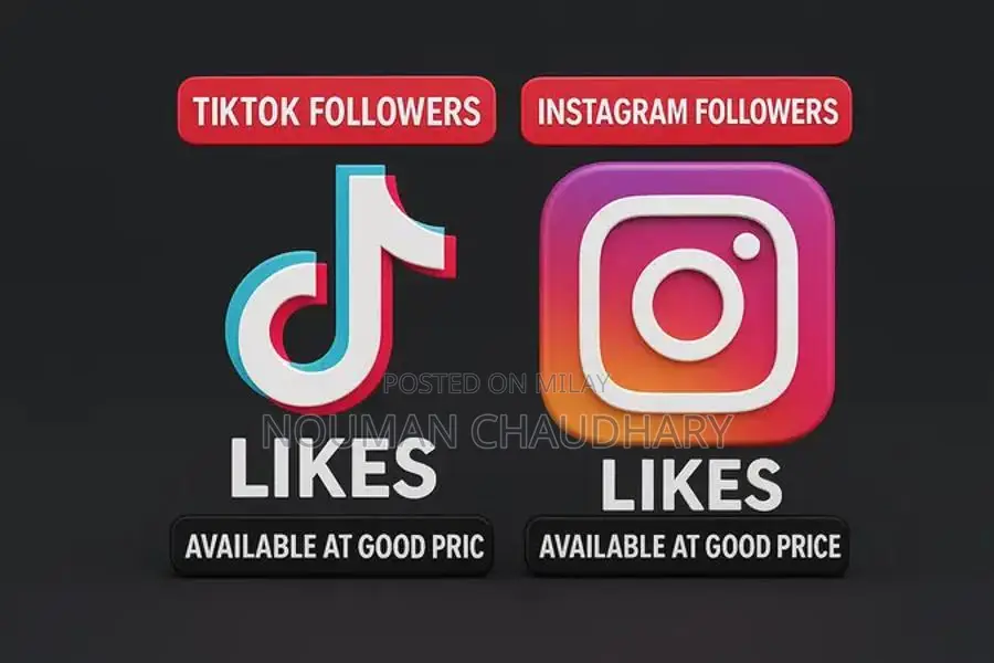 Social Media Growth Service for TikTok and Instagram