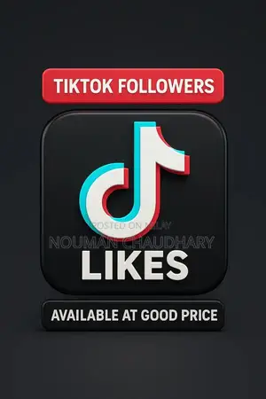 Social Media Growth Service for TikTok and Instagram