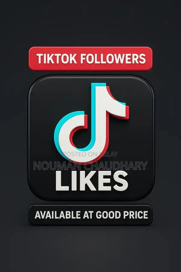 Social Media Growth Service for TikTok and Instagram