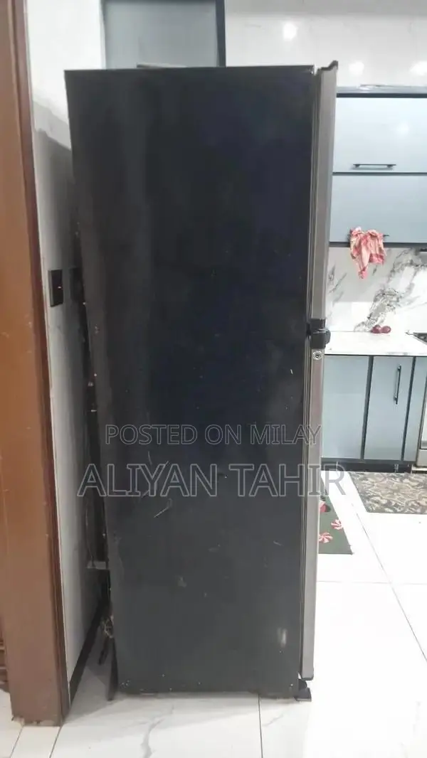 Orient 20 Cubic Feet Refrigerator - Large Capacity Cooling Solution