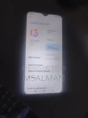 Budget-Friendly Smartphone with Compact Design