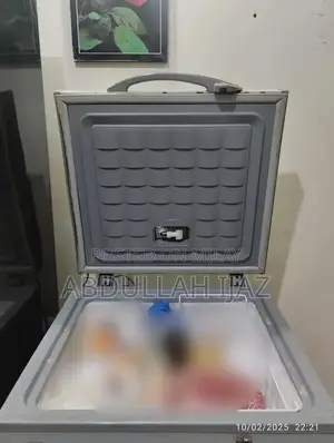 Waves Single Door Deep Freezer - Grey Compact Refrigeration