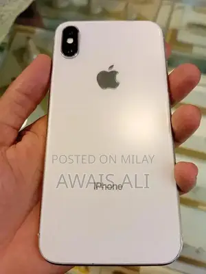 256GB Apple Smartphone with Panel Replacement