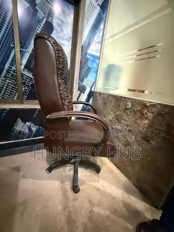 Executive Ergonomic Office Chair - Premium Comfort