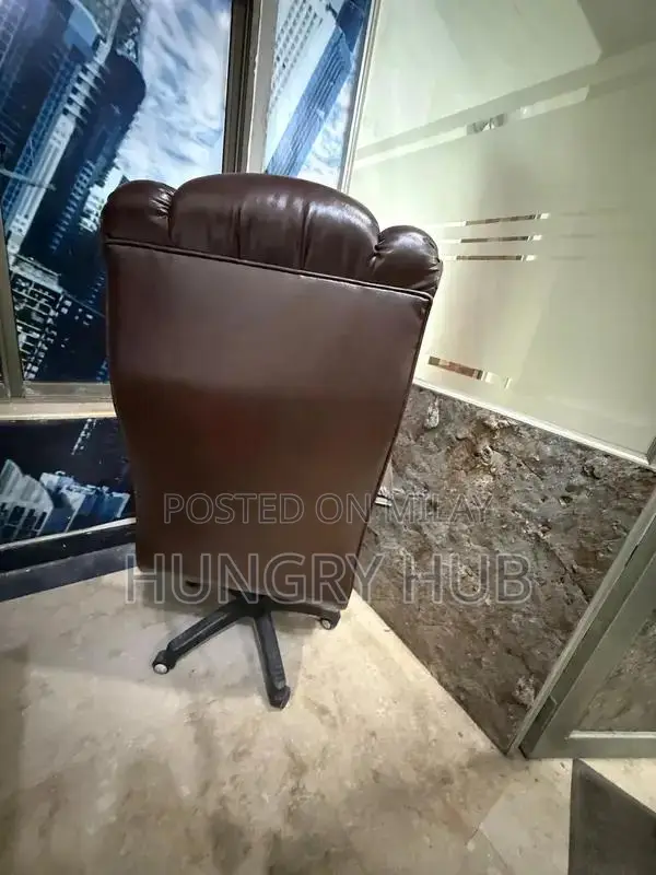 Executive Ergonomic Office Chair - Premium Comfort