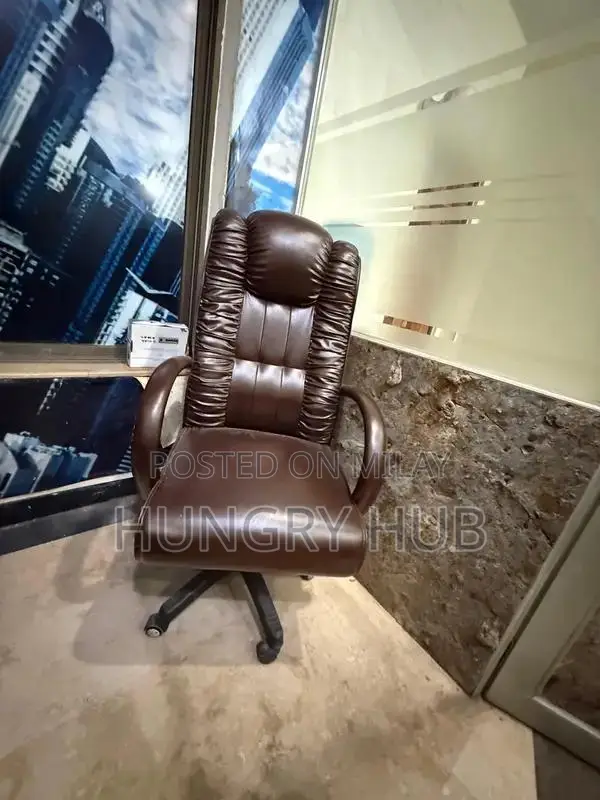 Executive Ergonomic Office Chair - Premium Comfort