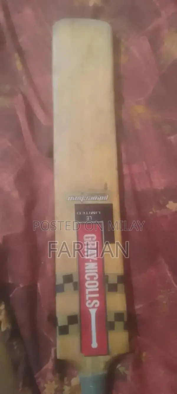 Grey Nicolls Hardball Cricket Bat - Sports Equipment
