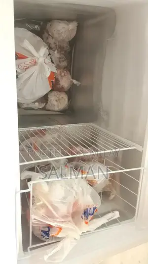 10.10 Compact Freezer with Multiple Features