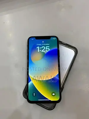 Official PTA Approved iPhone X 256GB Smartphone