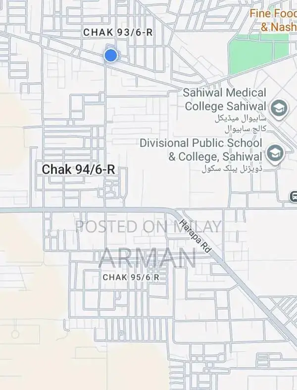 Colorful Decorative Parrots - Pair of Exotic Bird Figurines