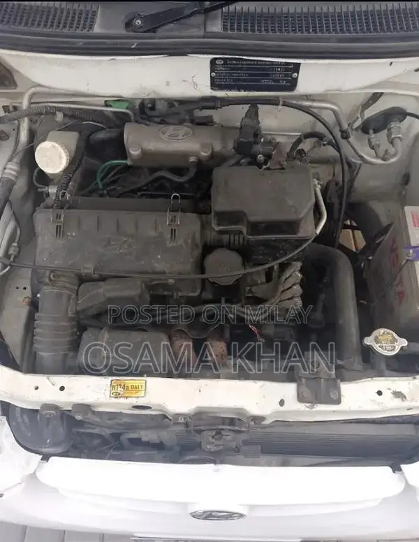 Hyundai Santro 2001 Compact Hatchback with EFI Engine