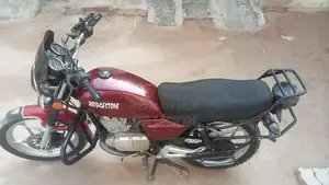 Suzuki GS150 SE Motorcycle - Second Owner, Low Mileage