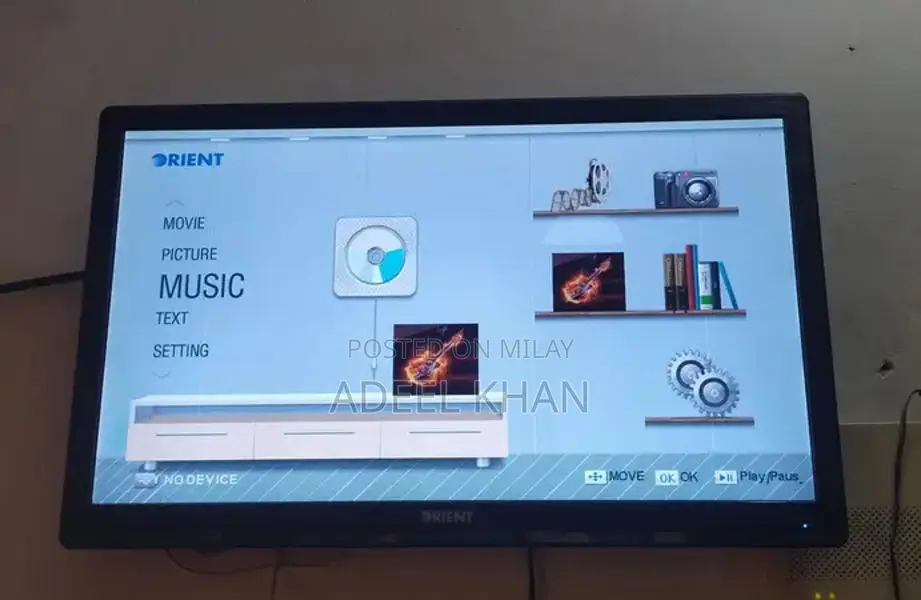 Orient LED 24-inch Display Monitor