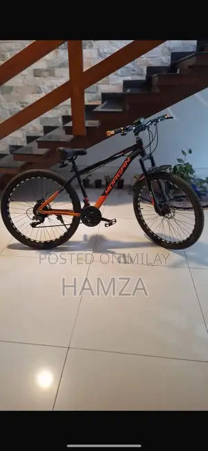 Photo - Morgan Geared Bicycle - High-Quality Adult Cycling