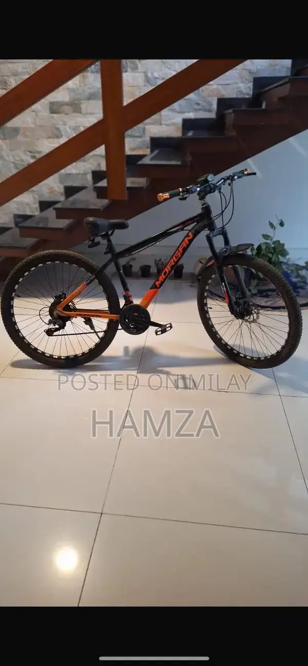 Morgan Geared Bicycle - High-Quality Adult Cycling