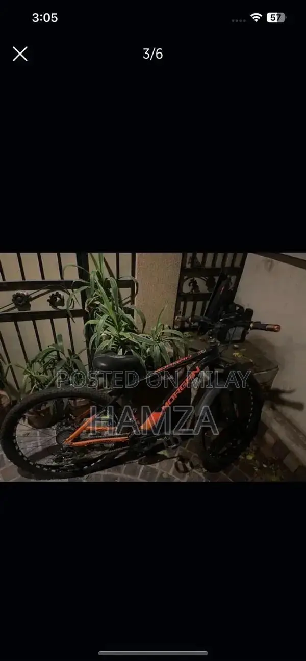 Morgan Geared Bicycle - High-Quality Adult Cycling