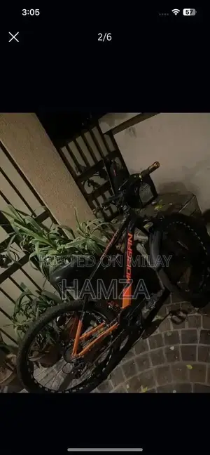 Morgan Geared Bicycle - High-Quality Adult Cycling