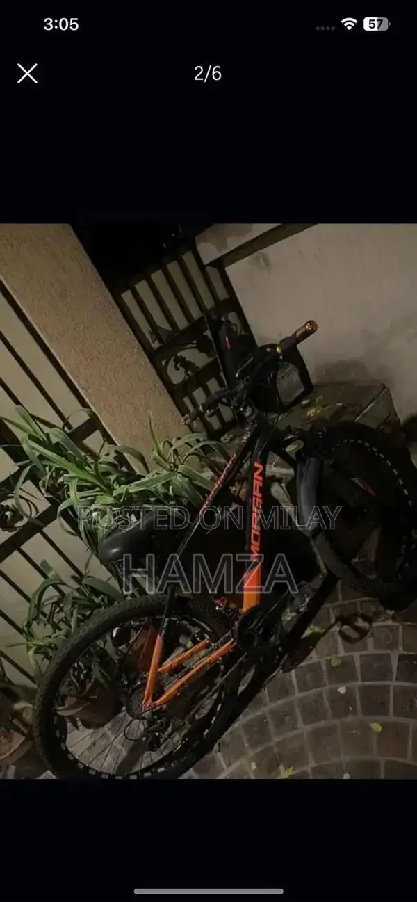 Morgan Geared Bicycle - High-Quality Adult Cycling