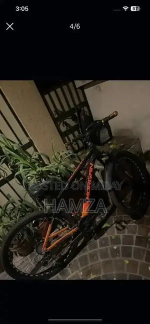 Morgan Geared Bicycle - High-Quality Adult Cycling