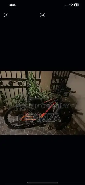 Morgan Geared Bicycle - High-Quality Adult Cycling