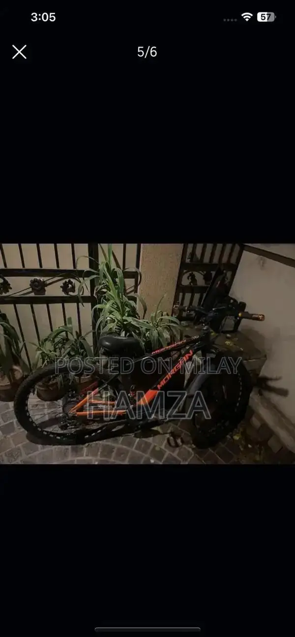 Morgan Geared Bicycle - High-Quality Adult Cycling