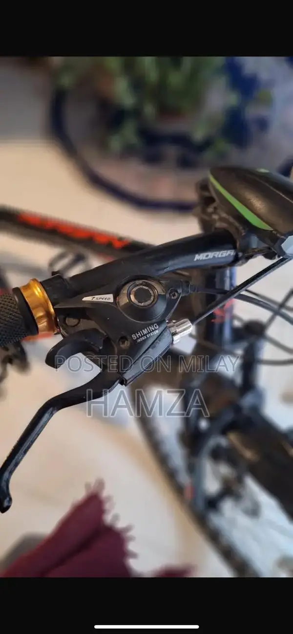 Morgan Geared Bicycle - High-Quality Adult Cycling