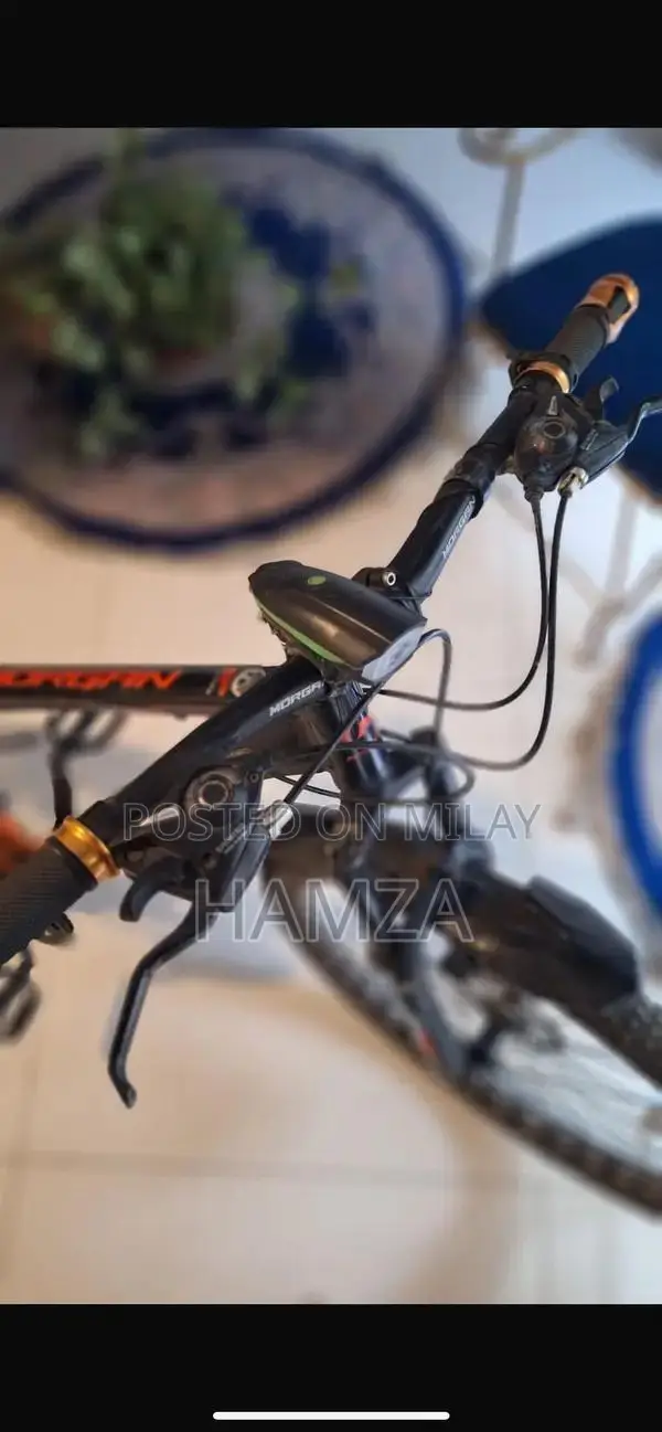 Morgan Geared Bicycle - High-Quality Adult Cycling