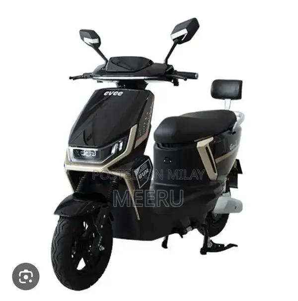 Electric Scooters with High Power Wattage Models