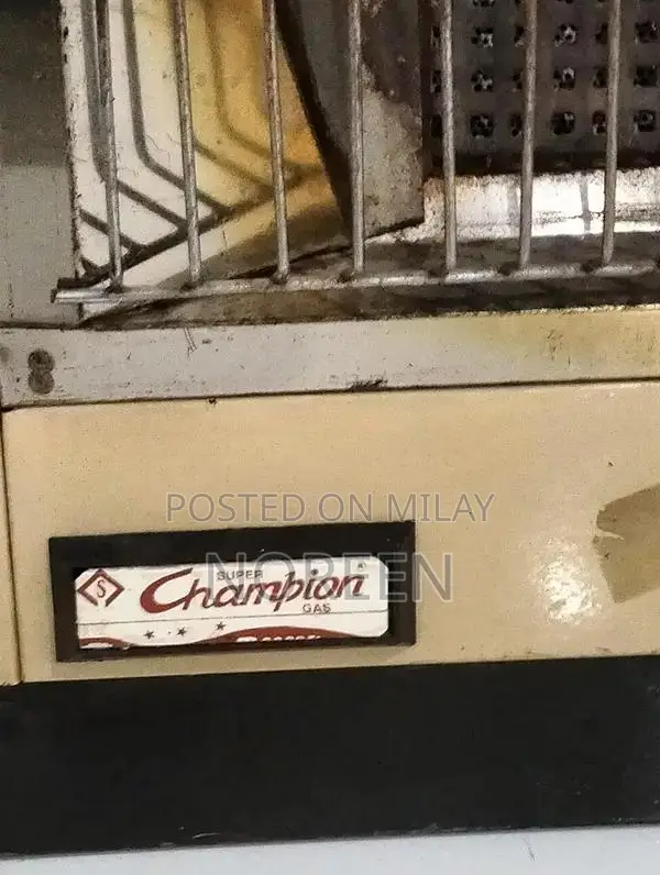 Champion Portable Gas Heater for Indoor Heating