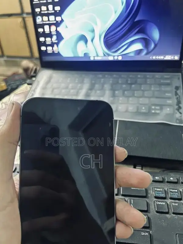 256GB Factory Unlocked Pro Max Smartphone with Dual SIM