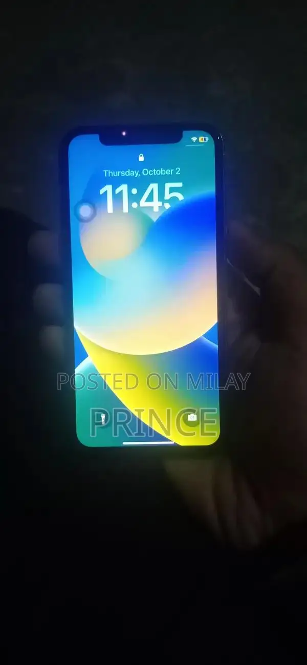 iPhone X 64GB - Used Smartphone with Panel Replacement