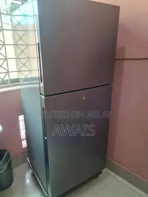 Large Haier Refrigerator with New Cooling Technology
