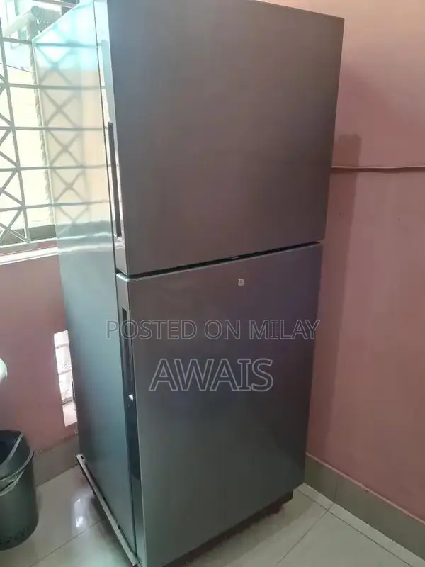 Large Haier Refrigerator with New Cooling Technology