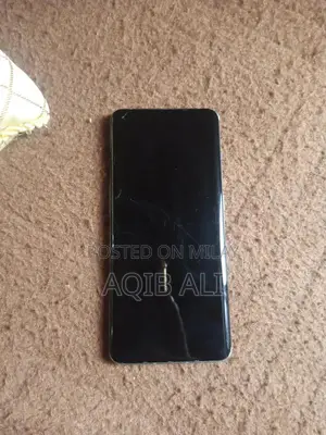 High-Performance Smartphone with Large Storage