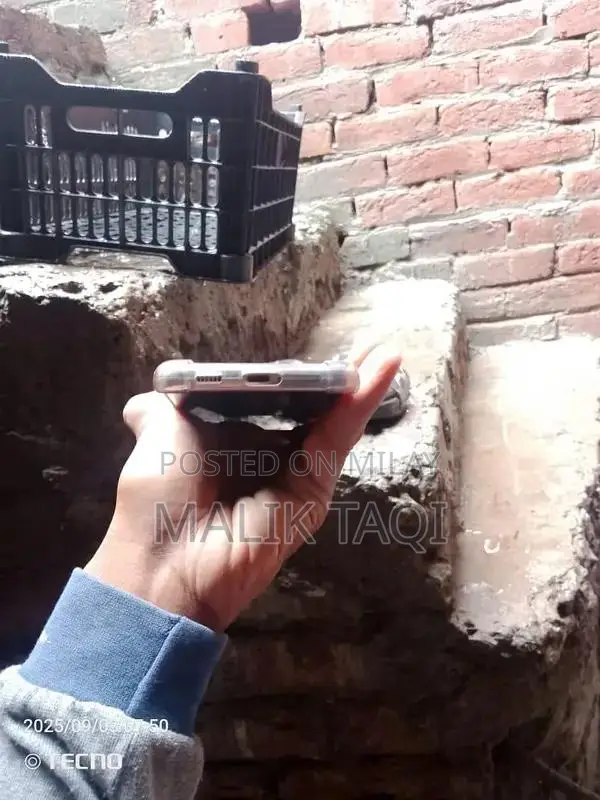 Advanced Smartphone with Dual Camera System