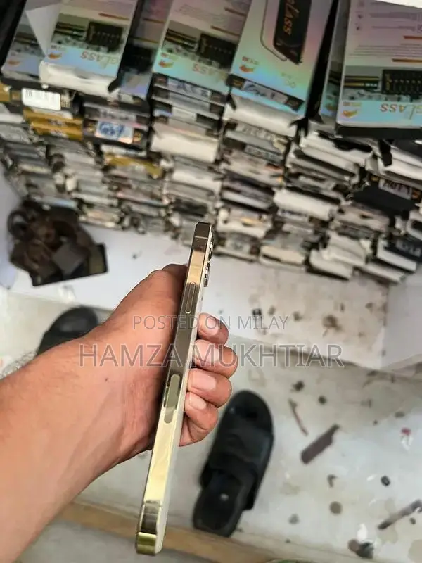 Apple iPhone 12 Pro Max Golden 256GB Smartphone