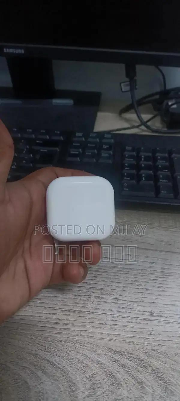 Original 3-Pin iPhone USB Charger Adapter