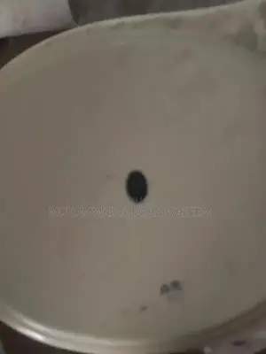 White Off-White Commode Furniture Piece