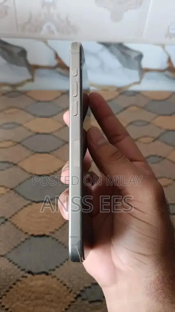 Premium Titanium Smartphone with High Storage & Performance