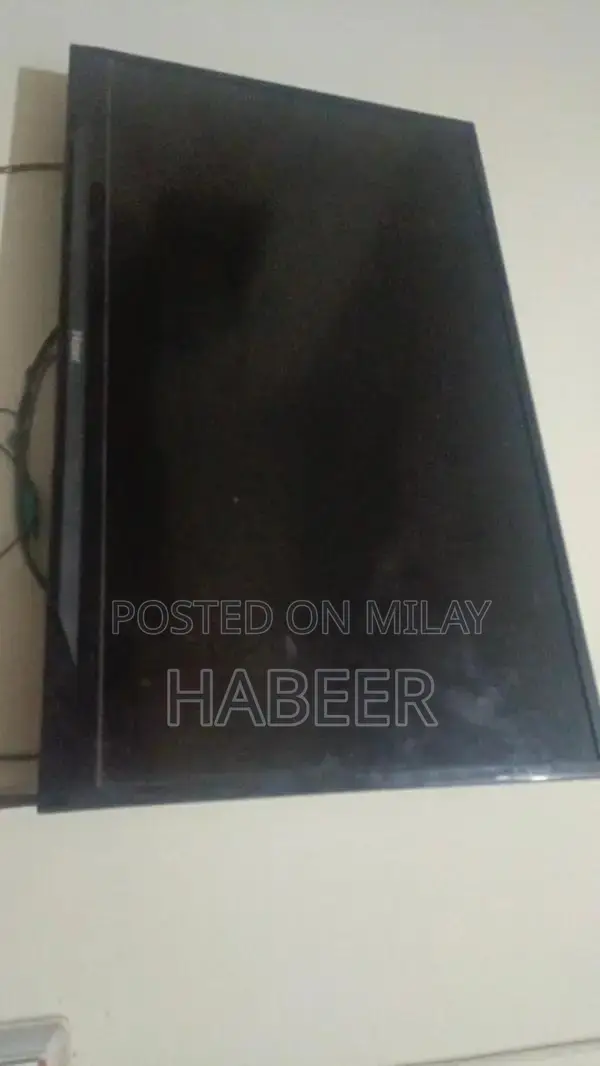 LED Projector for Home Entertainment or Business Presentations