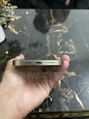 Apple iPhone 14 Pro Max Gold Edition Smartphone